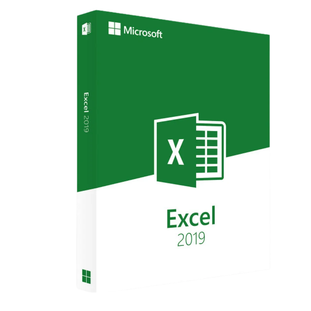 Verpackung der Software Microsoft Excel 2019 in Grün und Weiß mit Logo